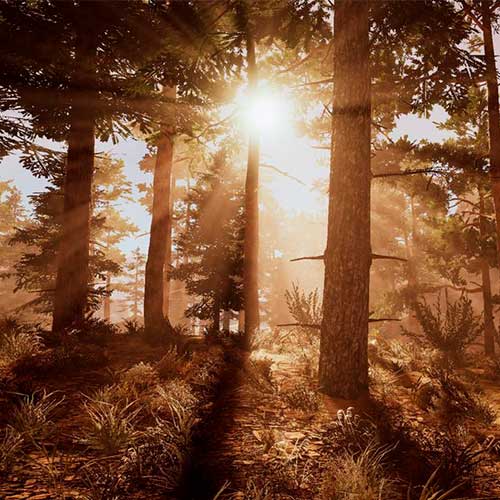 Wild West Dynasty Cd Key Steam Global